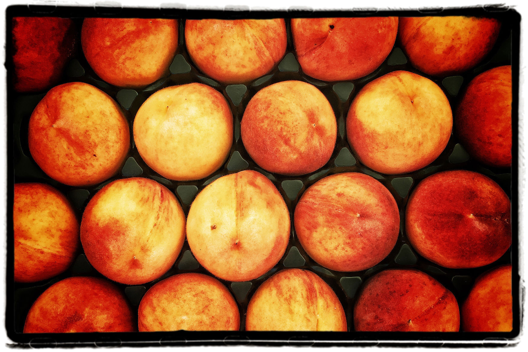 Farmers Market